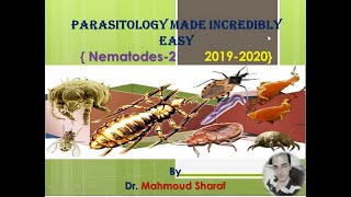 Ancylostoma duodenale and Strongyloides stercoralis Nematodes 2 2019  2020 [upl. by Tuddor]