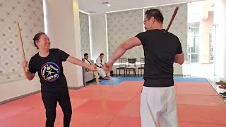 Redonda and Sinawali flow drill of Filipino Martial Arts [upl. by Marshall]