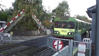 Sydney Parade Level Crossing  8300 Class Dart Train number 8313 [upl. by Notyalc]