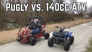 140cc ATV vs Pugly Exploration [upl. by Aihsrop]