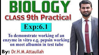 To demonstrate working of an enzyme eg pepsin in vitro  9th biology practical  Exp 61 [upl. by Blanka705]