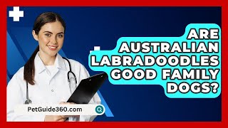 Are Australian Labradoodles Good Family Dogs  PetGuide360com [upl. by Liebowitz]