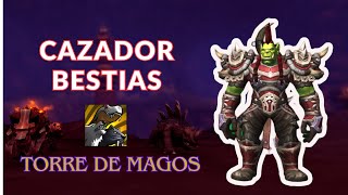 CAZADOR BESTIAS TORRE DE MAGOS DRAGONFLIGHT 1020 [upl. by Beera948]