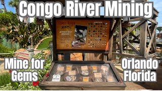 Gem Mining in Orlando at the Congo River MiniGolf Course with RockinRobin 103 gemmining [upl. by Kremer127]