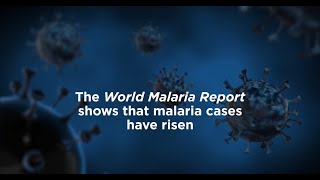 World Malaria Report 2023 Our commitment to investing in global health [upl. by Roderigo]