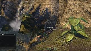 greenshade treasure map 4 [upl. by Murat]