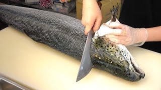 How To Fillet a Whole Salmon  Sashimi amp Sushi Taiwanese street food [upl. by Naerda]