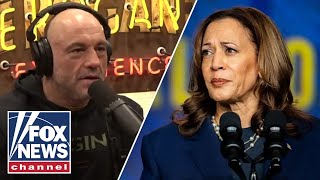 Joe Rogan reveals why Kamala Harris interview didnt happen [upl. by Eibreh]