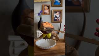 Iguana eating whatsappstatus funnyvideo [upl. by Cinnamon]