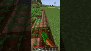 Planting Carrots For Every Subscriberminecraft shorts [upl. by Aita]