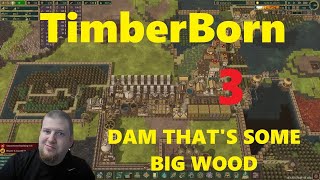 Dam A New Update Dropped for Timberborn keeping it rolling 3 [upl. by Ateuqahs342]