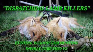 DISPATCHING LAMB KILLERS  Hunting With Good Cam Hunting  INFIRAY TUBE TH50 V2 [upl. by Licna]