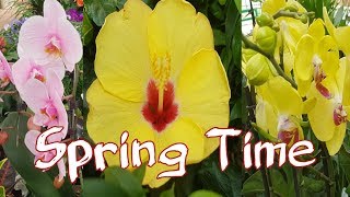 Garden Center  Springtime  German Filipina life in Germany [upl. by Bakemeier716]