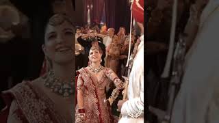 Bride grand entry with parentstrendingshorts viralvideo foryou [upl. by Enaffit]