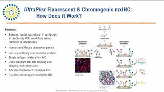 Benefits of RealTime PCR Multiplexing [upl. by Rombert]