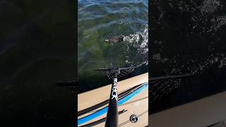 NetCam OG TheOriginal G3Boats Smallmouth Bass Fishing Boat Susquehanna River Fish PA [upl. by Lamonica]