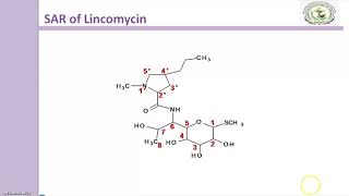 Lincomycin antibiotics [upl. by Slifka]