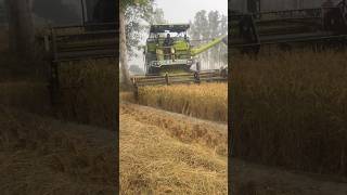 Harvester Machine working😱😱 harvester haryana tech machine diesel engine shorts feed [upl. by Takken]