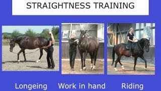 Straightness Training Webinar  Part II  Marijke de Jong [upl. by Tillio]