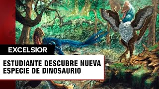 Estudiante descubre nueva especie de dinosaurio tras comprar fósiles para un proyecto escolar [upl. by Aluin]