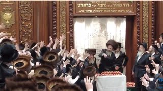 Apple Tish With Toldos Yehuda Stitchin Rebbe  Motzei Simchas Torah 2024 [upl. by Vale]