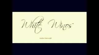 White Winos Loudon Wainwright III [upl. by Animehliw]