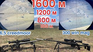 300 win mag vs 65 creedmoor стрельба до 1600 м 1миля [upl. by Lamej]