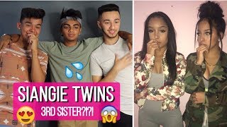 3rd SISTER  Siangie Twins Musically Compilation REACTION [upl. by Yelraf]