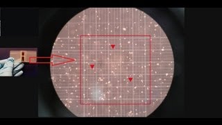 Hemocytometer  Counting of cells  Amrita University [upl. by Amaral]