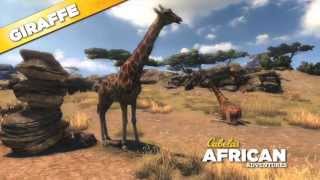 Cabelas African Adventures Giraffe 360 [upl. by Letti]