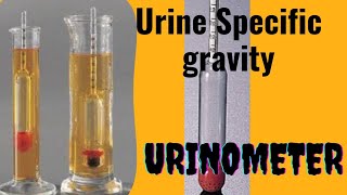 UrinometerSpecific gravity of Urine [upl. by Alauqahs705]