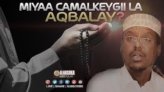 MIYAA CAMALKEYGII LA AQBALAY  ᴴᴰ┇ Sh Mustafe Xaaji Ismaaciil [upl. by Amelita468]