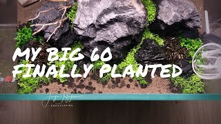 3 BEST CARPET PLANTS for beginners  60x50x40 finally planted [upl. by Schnorr]