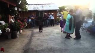 Musica tipica de la region purepecha o tarazco [upl. by Launce]