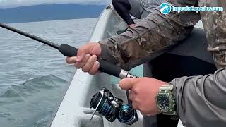 Carrete Daiwa Saltist MQ Spinning 6000 y 8000 [upl. by Anoyi]