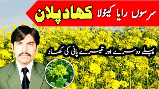 fertilizer plan for mustard or canola crop Mazhar Agri Info سرسوں رایا کینولا کھاد پلان [upl. by Sekofski]