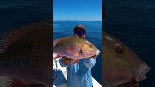 MaritimeExpeditions COPS Wanted MY FISH patchreef floridakeys [upl. by Yrrol769]