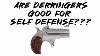 Are derringers good for self defense [upl. by Desmund]