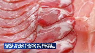 Bugs mold found at Boars Head plant linked to deadly outbreak [upl. by Nari]