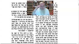 Chelek 20 19 Kislev 1 Rabbi Chaim Wolosow [upl. by Aneerb]