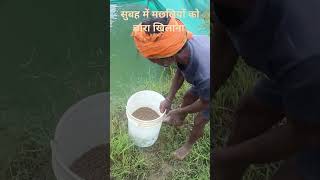 How to grow fish farming bhojpuri song [upl. by Ninel]