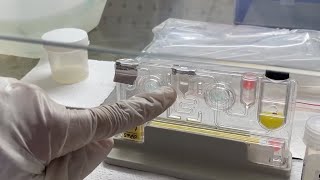 How to perform a RTPCR test  Actual Demonstration step by step of a Sputum sample  Explained easy [upl. by Adrahc]