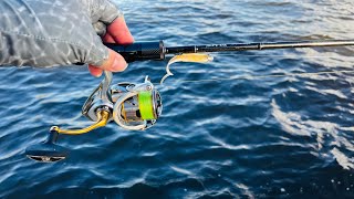 Brisbane River soft plastics fishing after the Rain  Fish after Fish [upl. by Recnal]