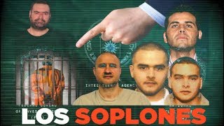 Los soplones del narco [upl. by Ellehcor694]