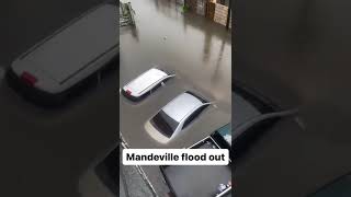 Mandeville flood out jamaica [upl. by Yrailih]