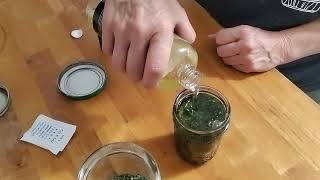 Making Comfrey Oil [upl. by Methuselah852]