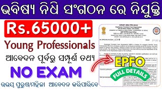 EPFO Young Professional Vacancy Salary 65000Graduation Pass jobs Full Details [upl. by Tollmann719]