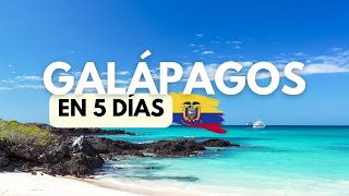 Islas GALÁPAGOS en 5 días atractivos y playas 🐢🇪🇨🐙🐋🦈 [upl. by Werna]