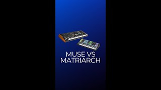 MOOG Muse vs Matriarch Which One Is For You [upl. by Norreht182]