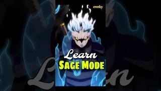 How Can You Learn Sage Mode [upl. by Iluj]